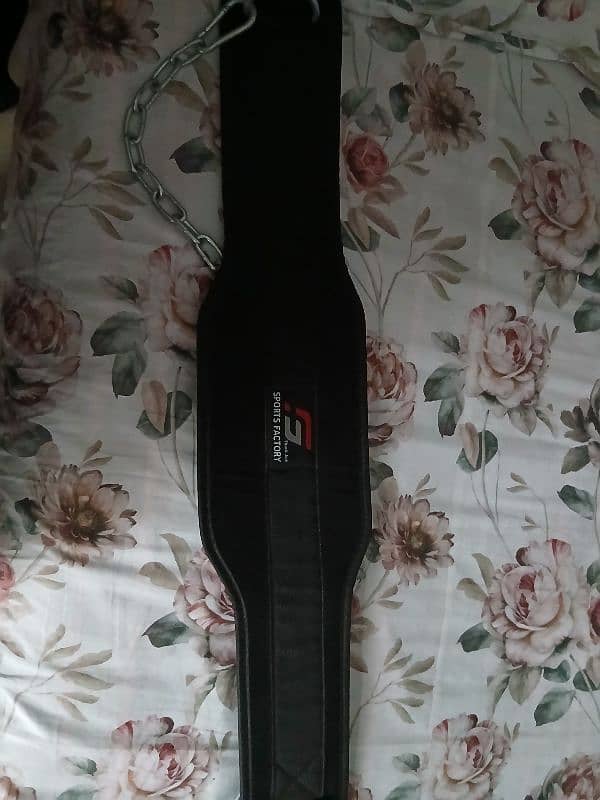 weightlifting belt 1