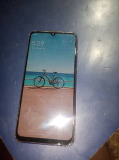 vivo