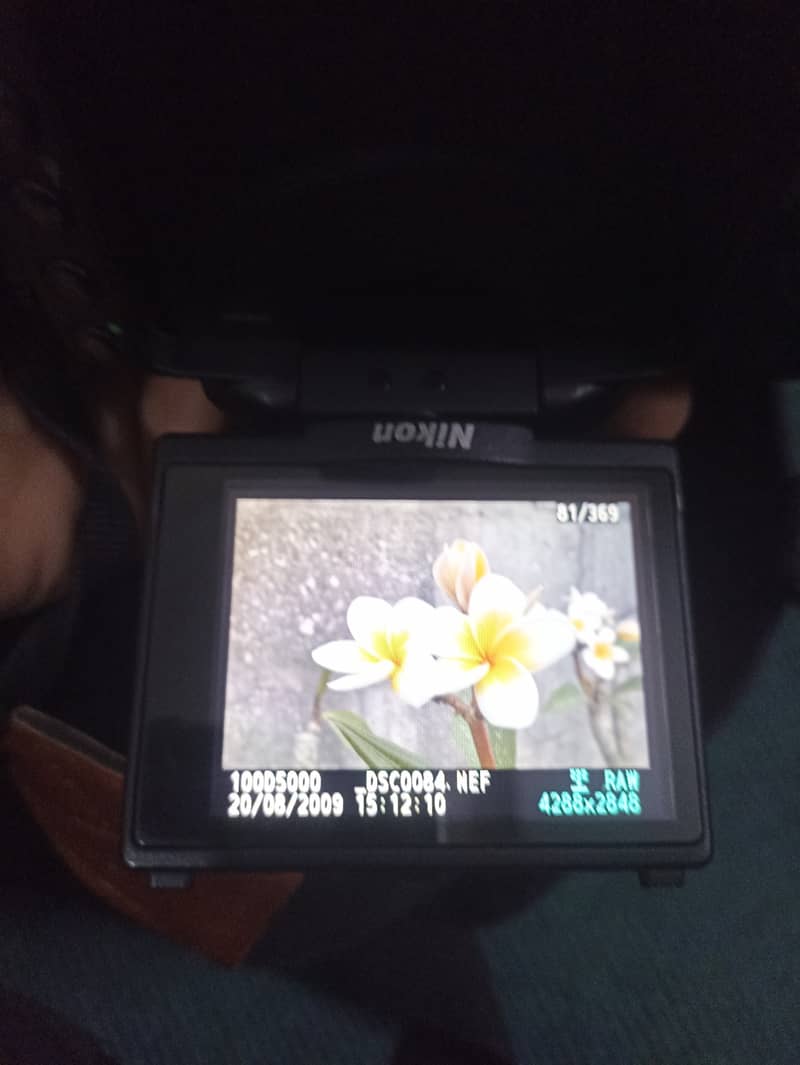 Nikon dslr camera D5000 2