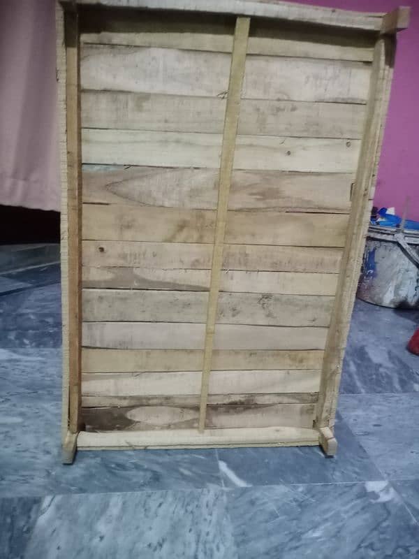 hen's and chick's cage 1