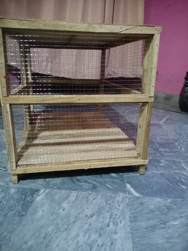 hen's and chick's cage 2