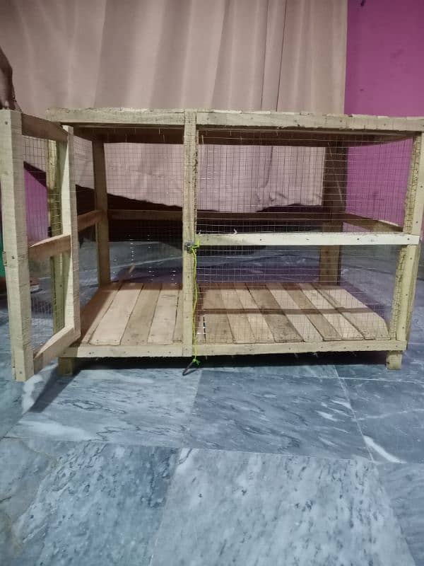 hen's and chick's cage 3