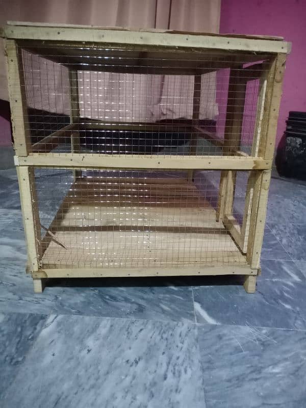 hen's and chick's cage 4