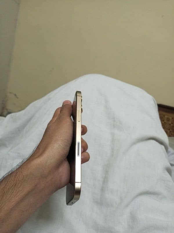 i phone 12 Pro Max Non Pta 2