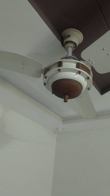 Ceiling fans X 5 0