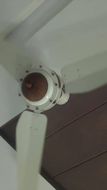 Ceiling fans X 5 1