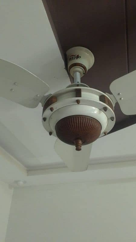 Ceiling fans X 5 2