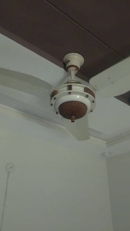 Ceiling fans X 5 3
