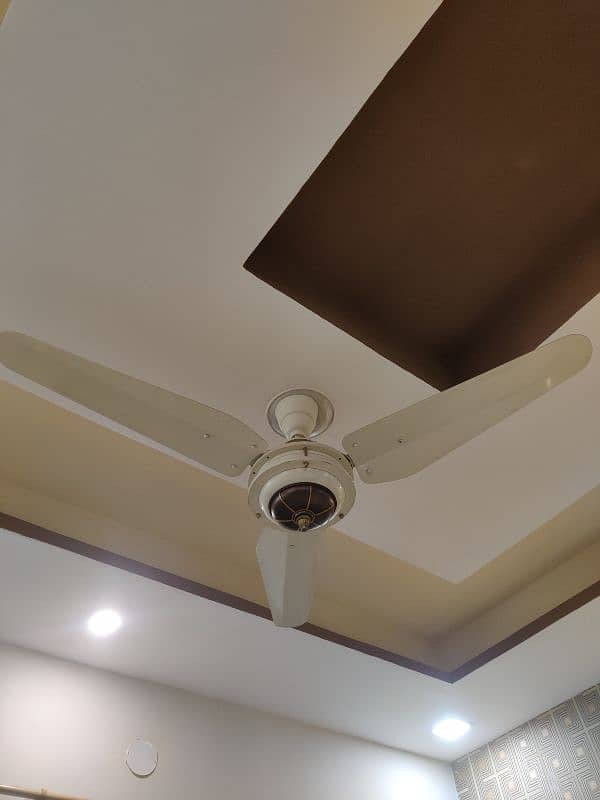 Ceiling fans| Mint Condition 0