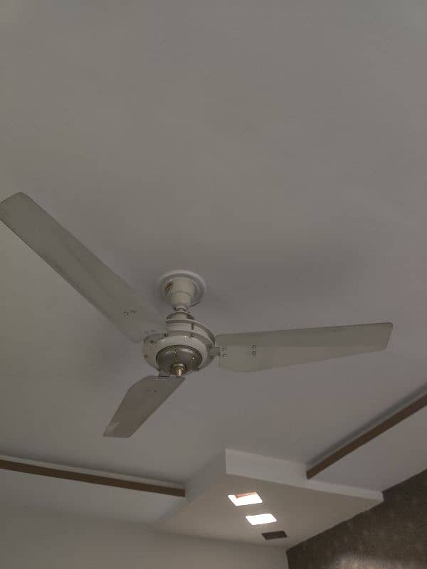 Ceiling fans| Mint Condition 1