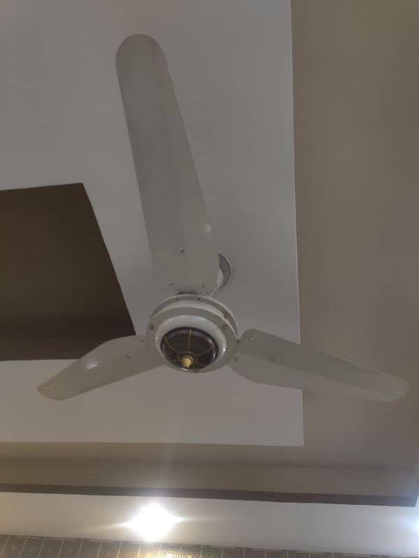 Ceiling fans| Mint Condition 2