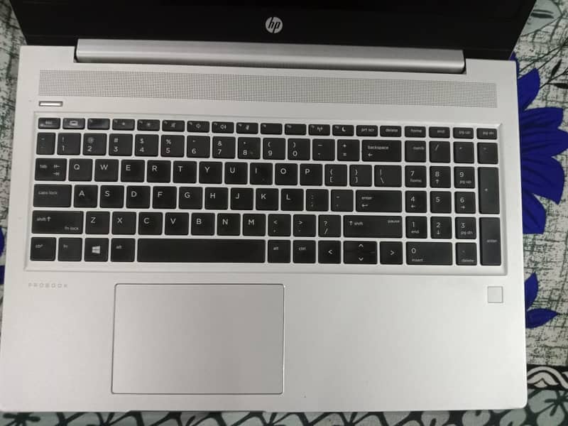 HP ProBook 450 G6 -i5 8th Gen-12GB RAM-1.14TB Storage-03335722892 1