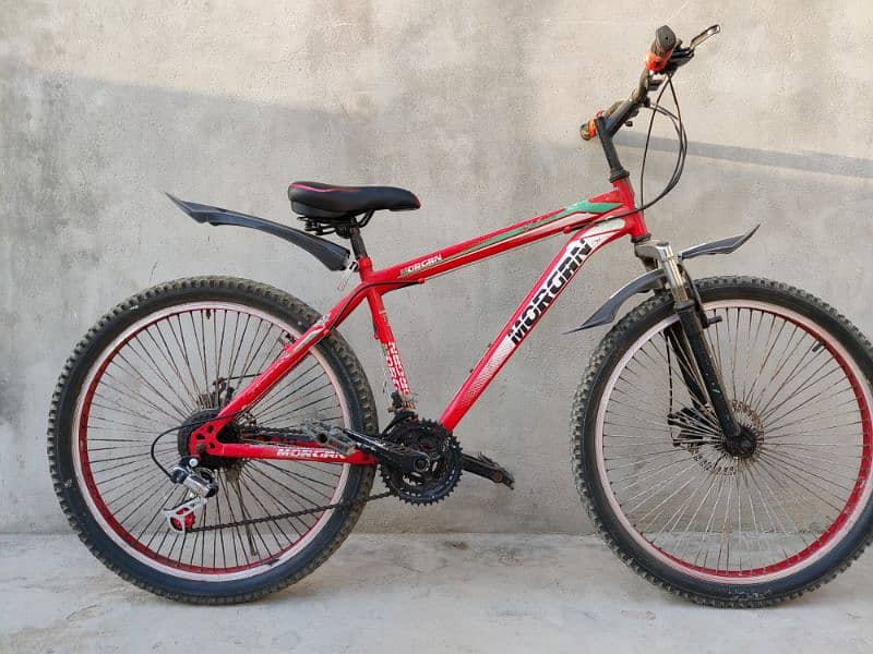 Morgan 21-Speed Mountain Bike 0
