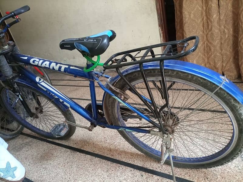 Gaint Cycle . . . . 0