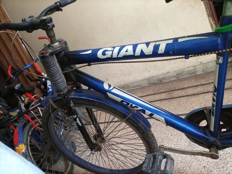 Gaint Cycle . . . . 1