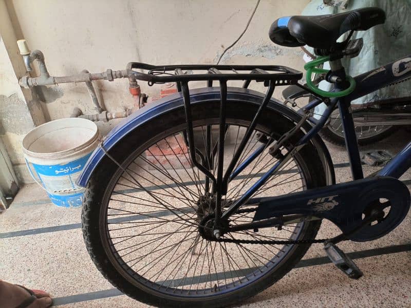 Gaint Cycle . . . . 3