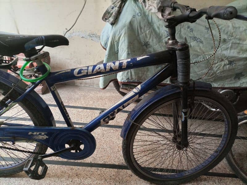 Gaint Cycle . . . . 4