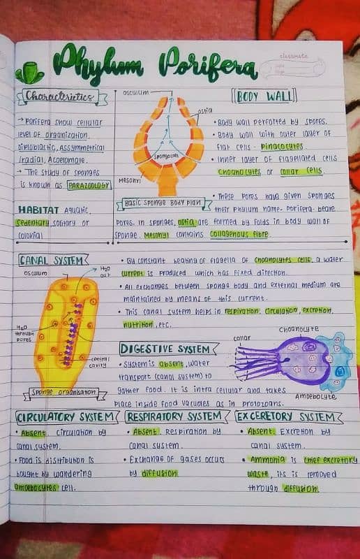 content writing 4