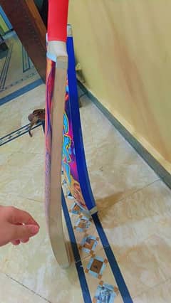 new bat ha coconut lakri ha handle bohat pyara ha check kr le 2 bat ha