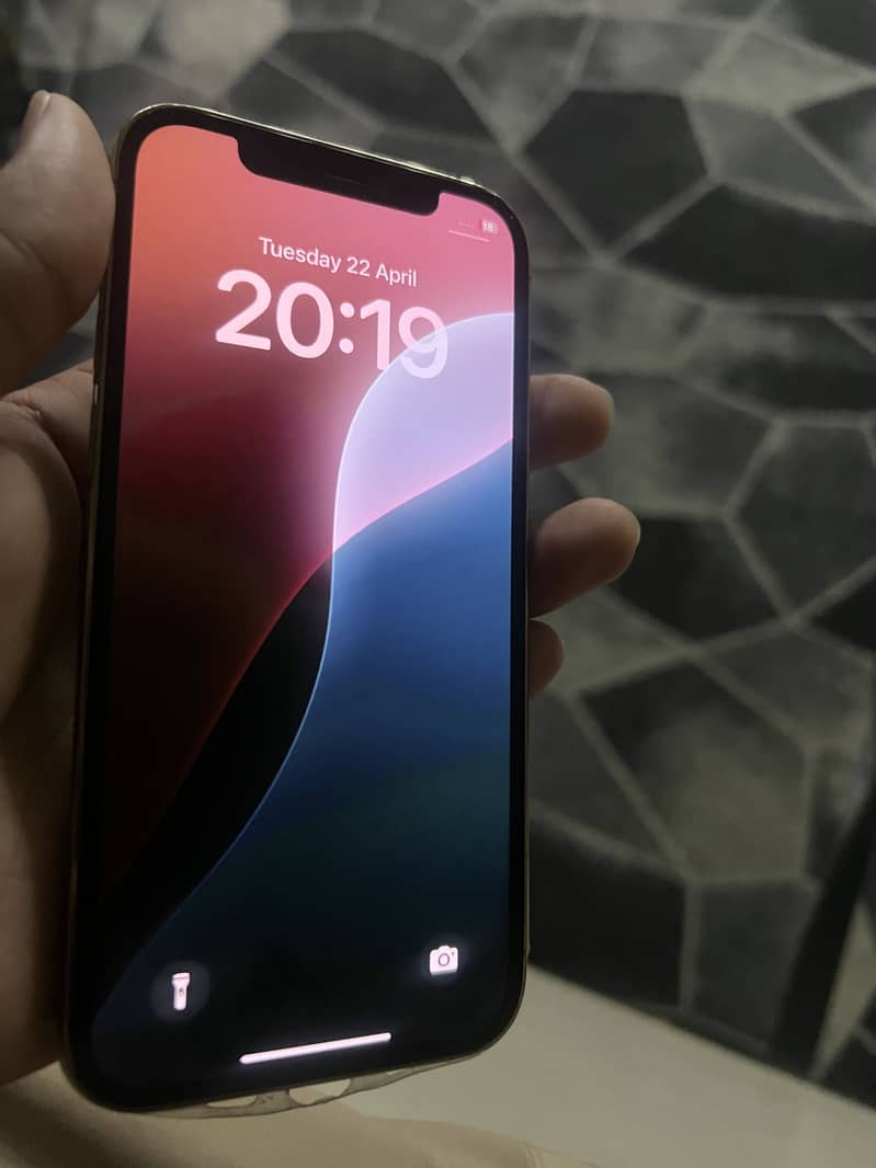 Iphone 12 pro pta approved 4