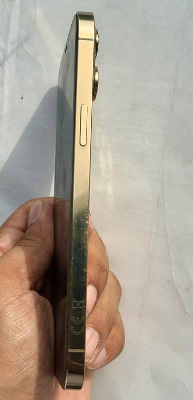 iPhone 12 Pro Max PTA approved 5