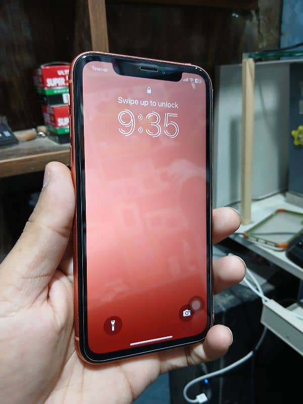 iphone xr 6