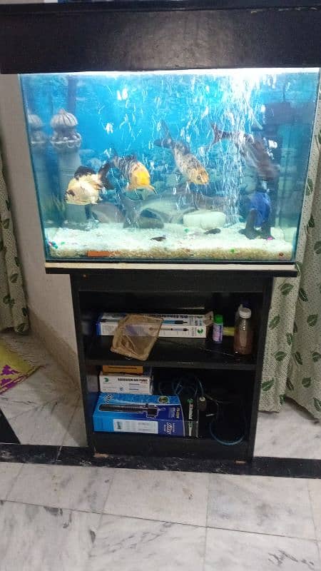 Fish Aquarium for sale 0