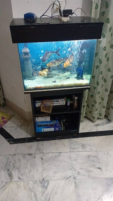 Fish Aquarium for sale 1