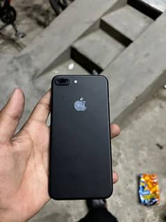 balck color conditin raf bach sheet lgwai hoi