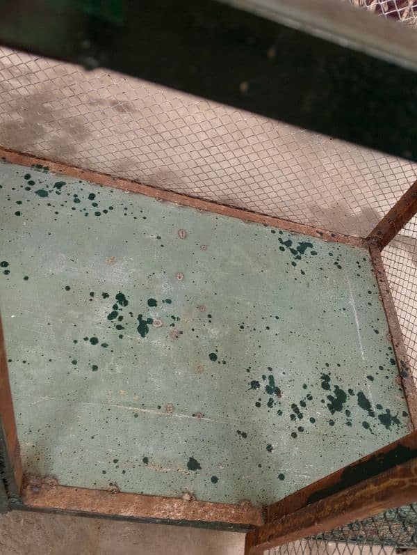 cage for sale 1