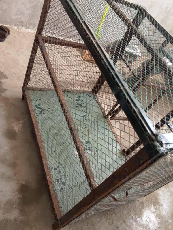 cage for sale 4