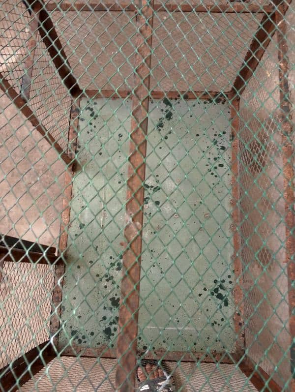cage for sale 5