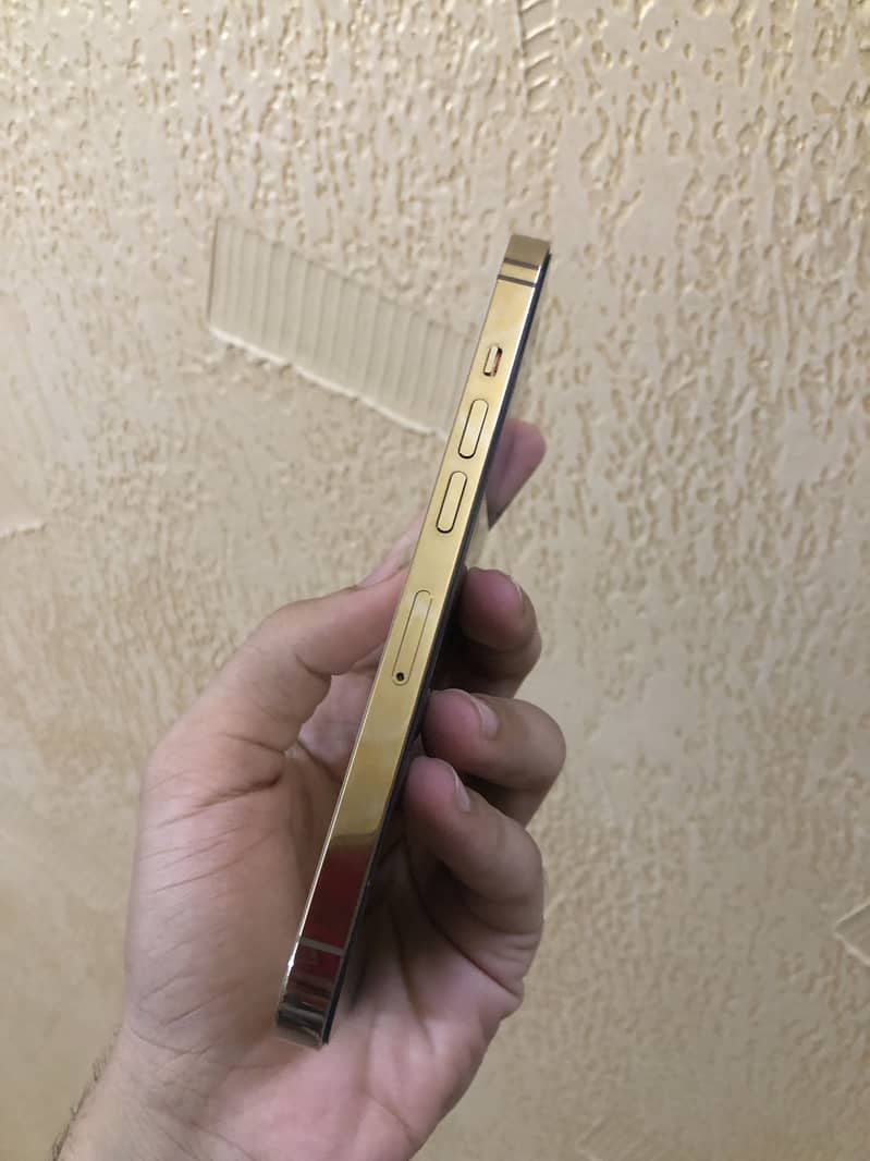 iPhone 13 pro pta 0