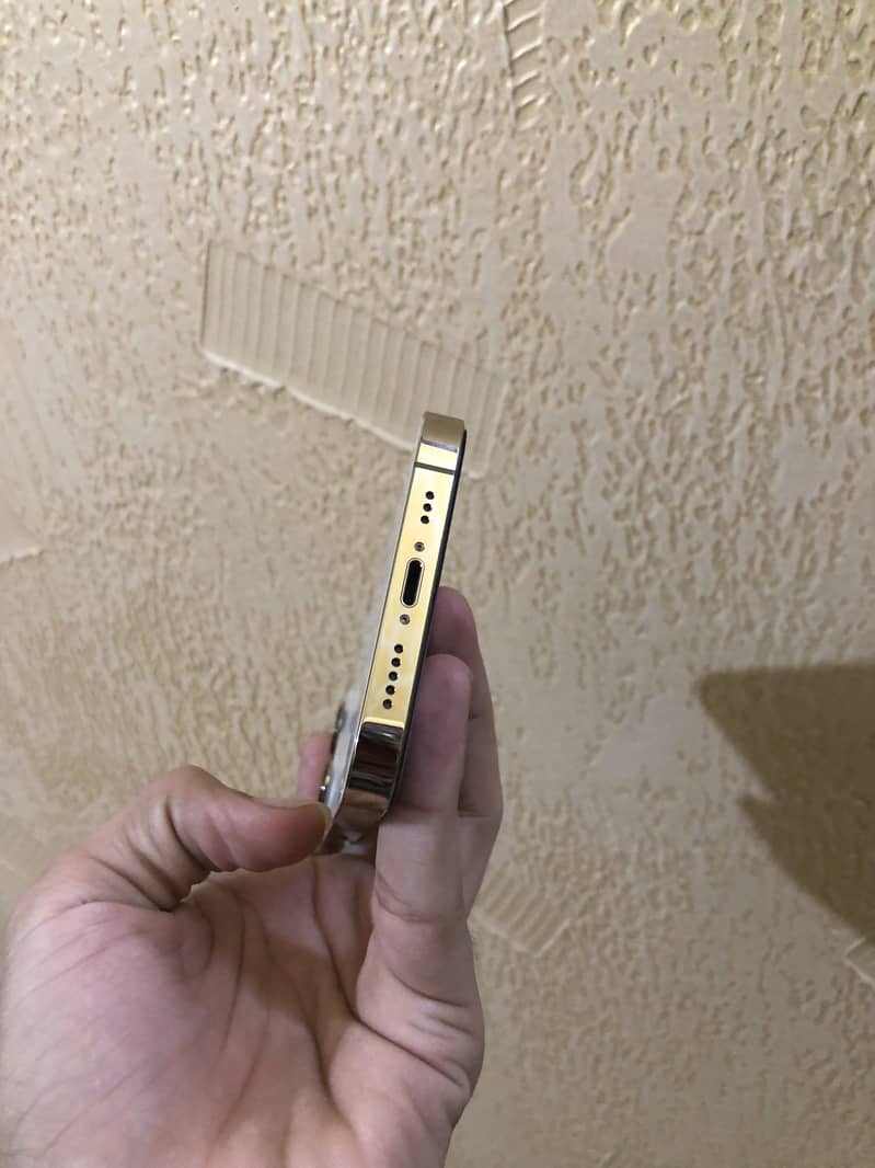 iPhone 13 pro pta 1