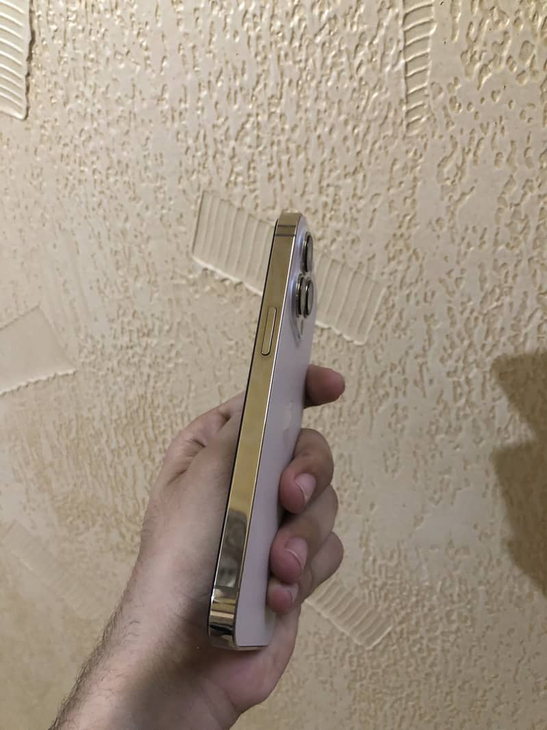 iPhone 13 pro pta 3