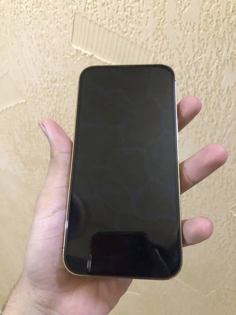 iPhone 13 pro pta 5