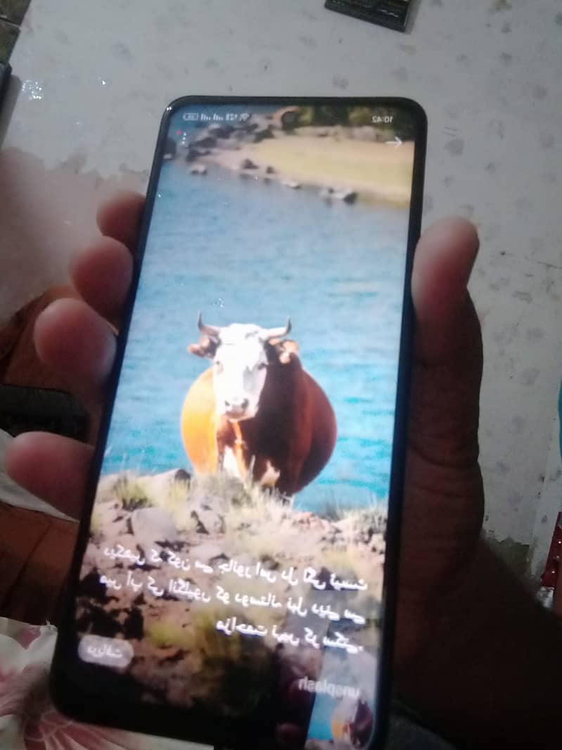 OPPO A3 mobile with complete box and fast charger urgent sale 1