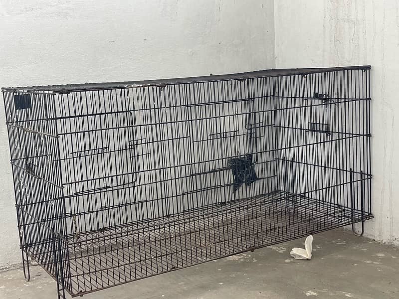 Bird Cage 0