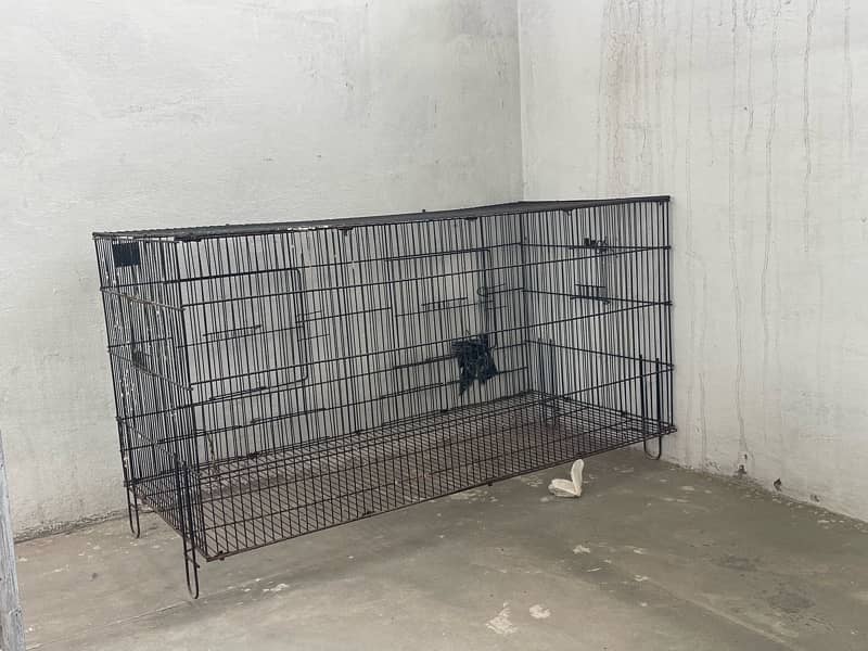 Bird Cage 1