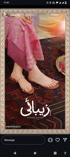 Stylo Zebai collection shoes