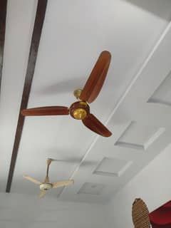 ceiling