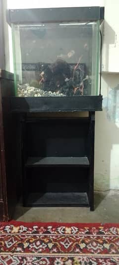 small aquarium