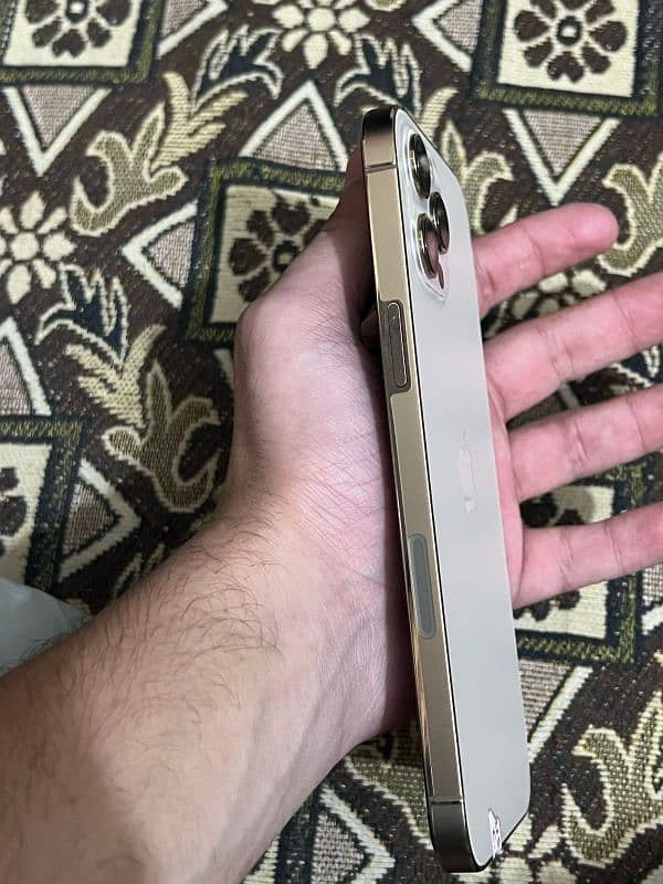 IPHONE 12 PRO MAX 1