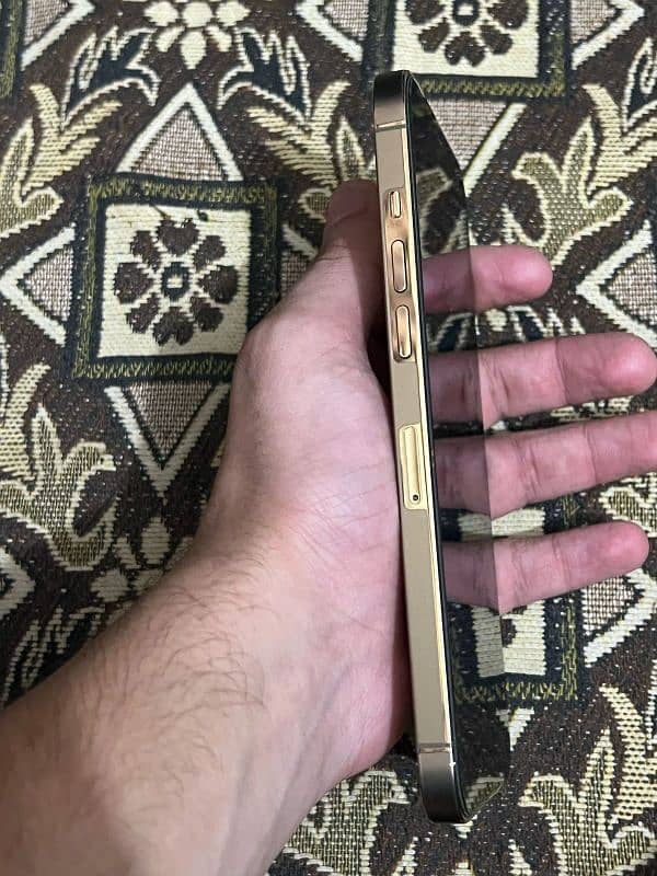 IPHONE 12 PRO MAX 2