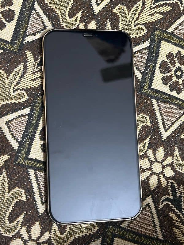 IPHONE 12 PRO MAX 5