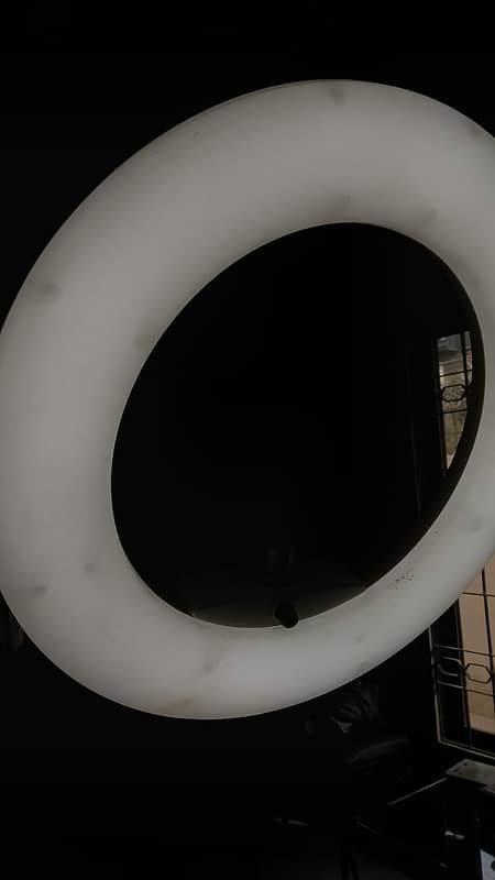 ring light 1
