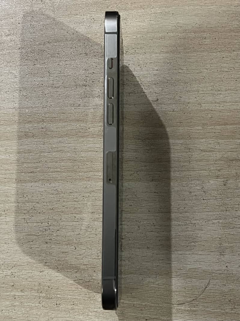 iPhone 12 Pro Max 14