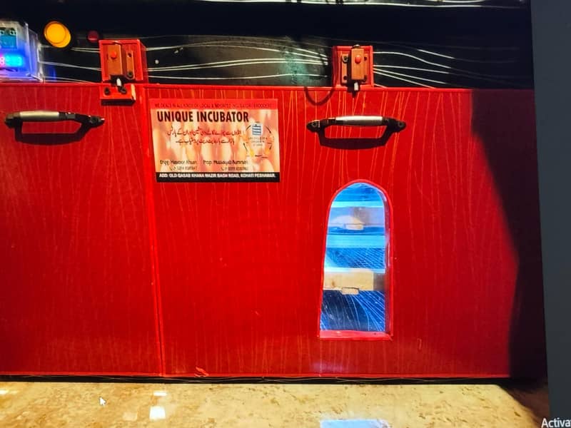 Incubator with 300 eggs Capacity 1