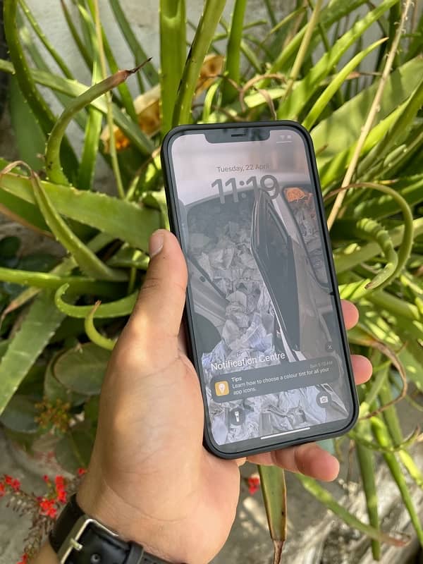 iPhone 12 Pro Max 1