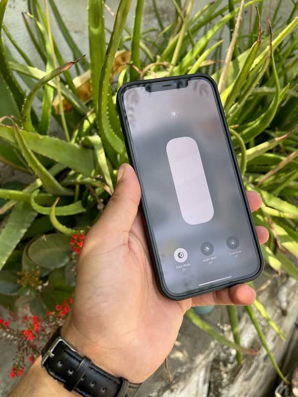 iPhone 12 Pro Max 2